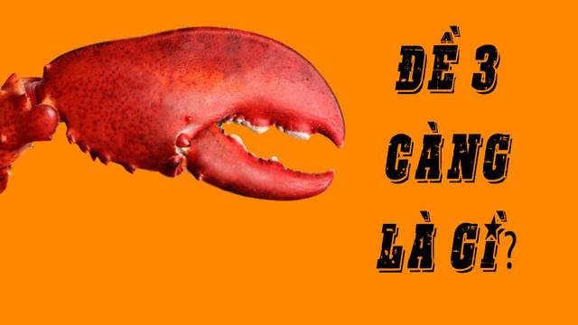 3 càng ăn được bao nhiêu