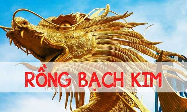 Soi cầu 247 rồng bạch kim