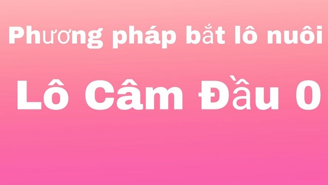 Phương pháp nuôi đầu đít 0